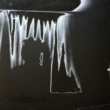 Load image into Gallery viewer, Spektrum : Kinda New (Tiefschwarz Mixes) (12", Pic)
