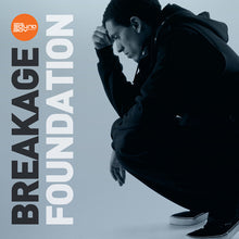 Load image into Gallery viewer, Breakage : Foundation (2x12", Album)
