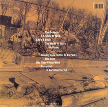 Load image into Gallery viewer, Nas : Illmatic (LP, Album, RE)
