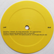 Load image into Gallery viewer, Datassette : Sentinel (12&quot;, EP, Cle)
