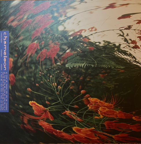 Anthony Naples : Chameleon (LP)