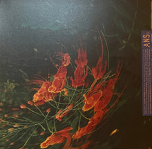 Load image into Gallery viewer, Anthony Naples : Chameleon (LP)

