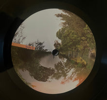 Load image into Gallery viewer, Anthony Naples : Chameleon (LP)
