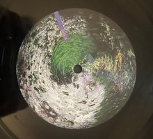 Load image into Gallery viewer, Anthony Naples : Chameleon (LP)
