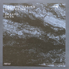 Load image into Gallery viewer, Allen Wootton : Callers Spring (12")
