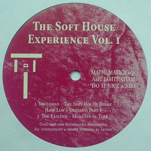 Various : The Soft House Experience Vol. 1 (12
