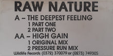 Load image into Gallery viewer, Raw Nature : The Deepest Feeling (12&quot;)
