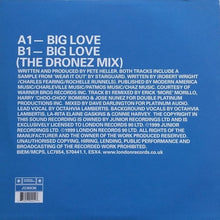 Load image into Gallery viewer, Pete Heller's Big Love : Big Love (12")
