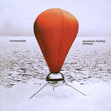Load image into Gallery viewer, Trentemøller : Sycamore Feeling Remixes (12")
