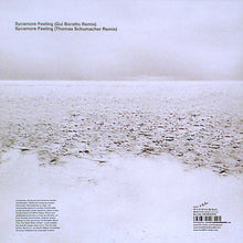 Load image into Gallery viewer, Trentemøller : Sycamore Feeling Remixes (12")
