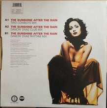 Load image into Gallery viewer, BERRi : Sunshine After The Rain (12&quot;)
