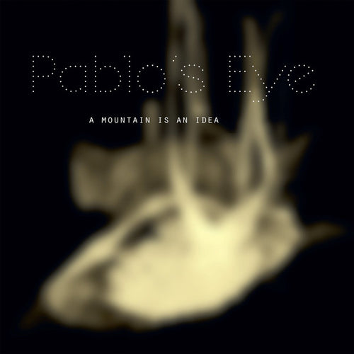 Pablo's Eye : A Mountain Is An Idea (LP, Album)