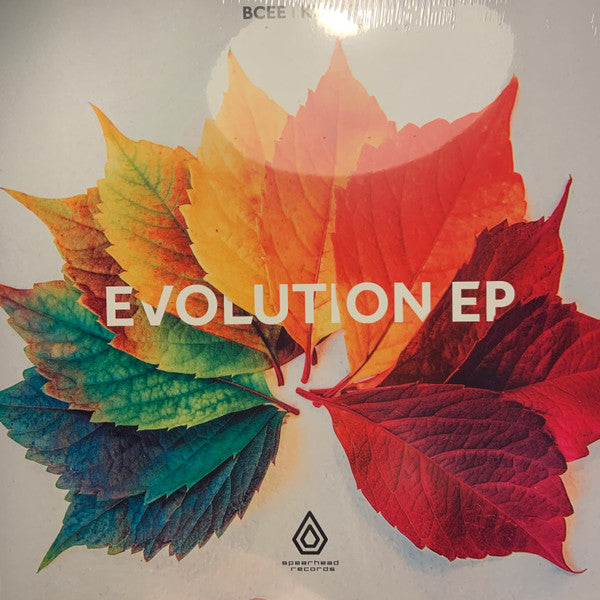 BCee & Kubiks : Evolution EP (10