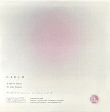 Load image into Gallery viewer, Djrum* : St Martin / Tension (12&quot;, Single, RP)
