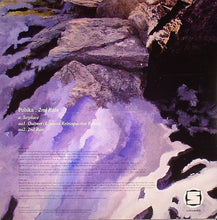 Load image into Gallery viewer, Polska : 2nd Rate (12&quot;)
