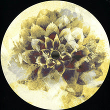 Load image into Gallery viewer, Various : IFSDIGIV001 (12", EP, Comp)
