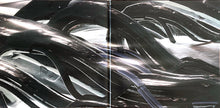 Load image into Gallery viewer, DJ Stingray (2) : F.T.N.W.O. (2x12&quot;, Album, RE)
