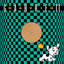 Load image into Gallery viewer, Garrett David : Live, Live (12")
