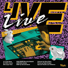 Load image into Gallery viewer, Garrett David : Live, Live (12")
