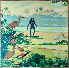 Load image into Gallery viewer, Various : Radar Keroxen Vol. II (12&quot;, Comp)
