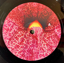 Load image into Gallery viewer, Various : Radar Keroxen Vol. II (12&quot;, Comp)
