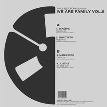 Load image into Gallery viewer, Various : We Are Family Vol.5 (12&quot;, Comp)

