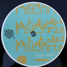 Load image into Gallery viewer, Lee Evans* : Animist Pools (LP, Album, Ltd, RE)
