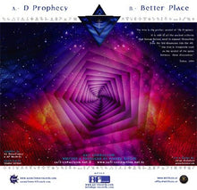 Load image into Gallery viewer, Safi Connection : D Prophecy (12")

