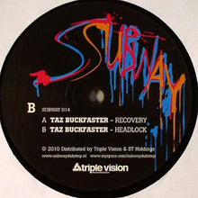 Load image into Gallery viewer, Taz Buckfaster : Recovery (12&quot;)
