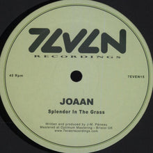 Load image into Gallery viewer, Joaan : Splendor In The Grass (12&quot;)
