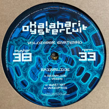 Load image into Gallery viewer, Volodymyr Gnatenko : Rainalice (2xLP)
