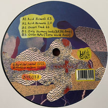 Load image into Gallery viewer, Anatolian Weapons : Selected Acid Tracks (12&quot;)
