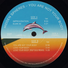 Load image into Gallery viewer, Hidden Spheres : You Are Not Your Body (12")
