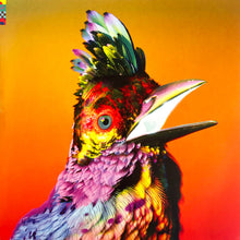 Load image into Gallery viewer, Flume : Palaces (2xLP, Album, 180)
