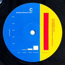 Load image into Gallery viewer, Flume : Palaces (2xLP, Album, 180)
