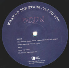 Load image into Gallery viewer, Ron Trent Presents Warm (15) : What Do The Stars Say To You (LP, Album)
