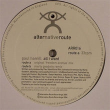 Load image into Gallery viewer, Paul Hamill : All I Want (12")
