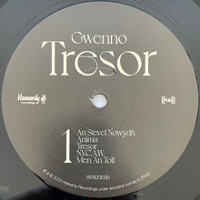 Load image into Gallery viewer, Gwenno : Tresor (LP, Album, Ltd, Gat)
