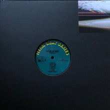 Load image into Gallery viewer, Fields Of Mist : Illuminated60 (12&quot;, 180)
