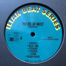 Load image into Gallery viewer, Fields Of Mist : Illuminated60 (12&quot;, 180)

