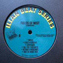 Load image into Gallery viewer, Fields Of Mist : Illuminated60 (12&quot;, 180)
