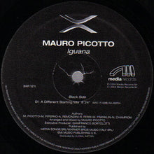 Load image into Gallery viewer, Mauro Picotto : Iguana (12")
