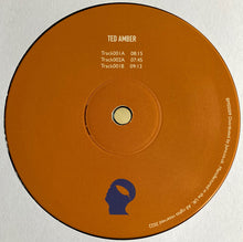 Load image into Gallery viewer, Ted Amber (2) : Botanic Minds Sunset Series (12", EP)
