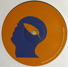 Load image into Gallery viewer, Ted Amber (2) : Botanic Minds Sunset Series (12", EP)
