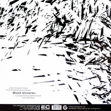 Load image into Gallery viewer, Sbassship : Block Universe (12")
