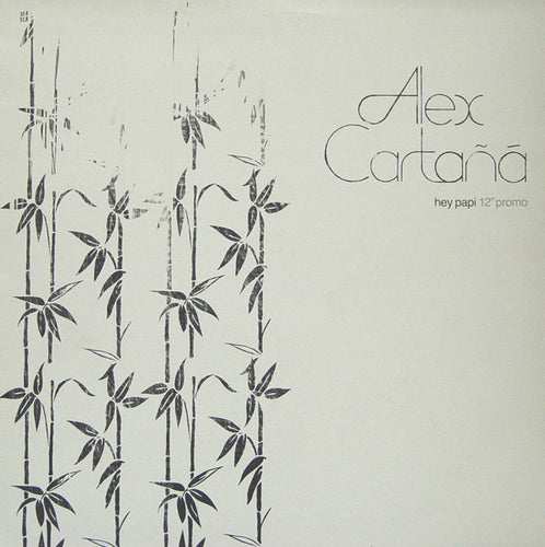 Alex Cartañá : Hey Papi (12
