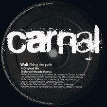 Load image into Gallery viewer, Walt : Bring The Pain (12&quot;)
