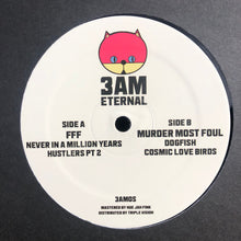 Load image into Gallery viewer, FFF / Murder Most Foul : Like Never Before (12")
