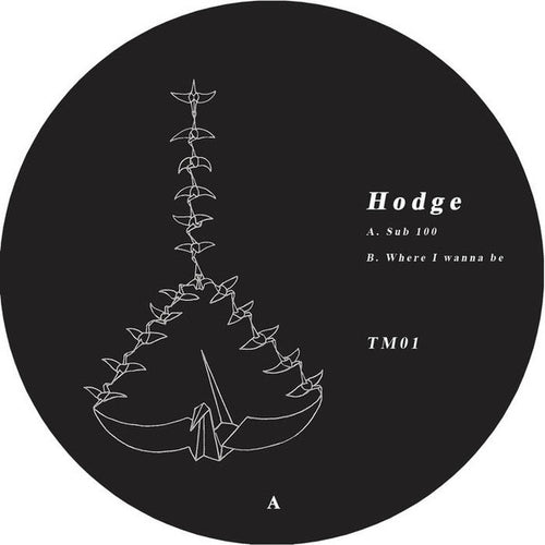 Hodge (3) : Sub 100 (12