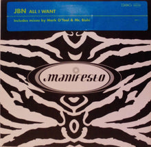 Load image into Gallery viewer, JBN : All I Want (12&quot;, Promo)
